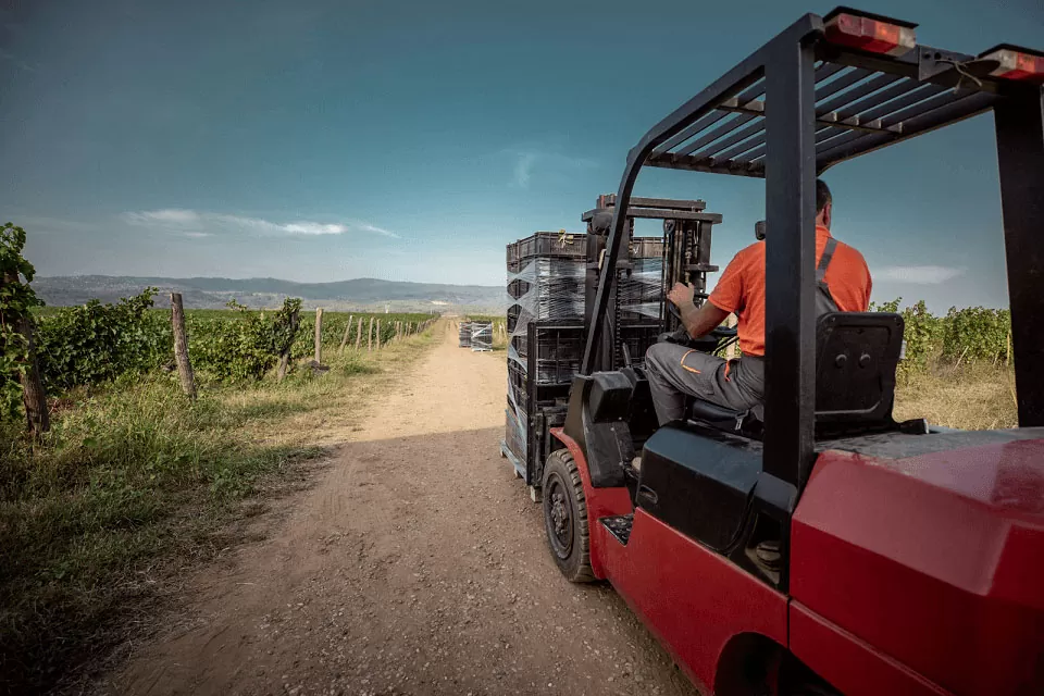 What To Look For When Buying A New Forklift